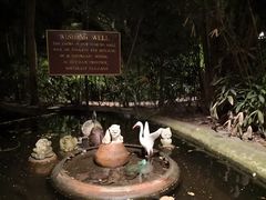 -卷心菜和避孕套餐厅(Pattaya)