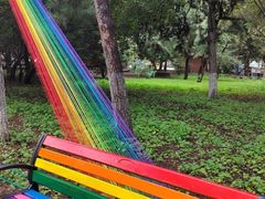 -武清南湖绿博园