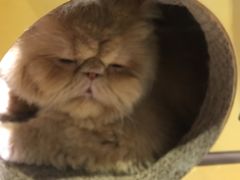 -小时光咖啡馆(开森度假森林店)