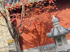 -护国法轮寺