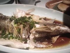 -大榕树下顺德菜(融创茂店)