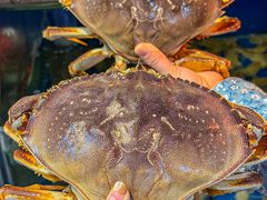 -广记海鲜(杨汊湖一店)