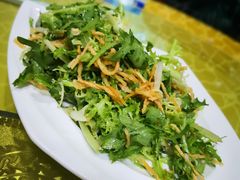凉拌苦菊-春水锅贴·传统鲁菜(大明湖店)