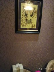 -归真美学颜究中心