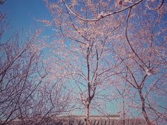 -三里河公园