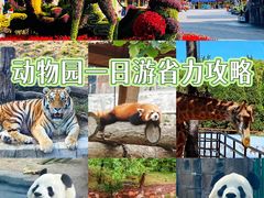 -大连森林动物园