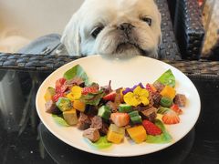 -百好乐宠物友好餐厅(朝外大街店)