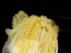 -三只耳火锅(宽窄巷子店)