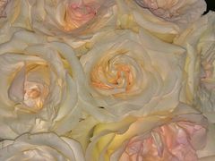 -循礼门鲜花花市(武汉循礼门店)