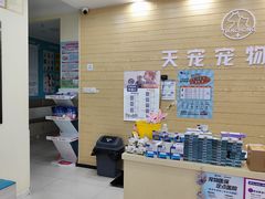 -天宠宠物医院24小时·急重症诊疗中心·全科·腔镜特色(和平分院)