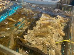 -九月海·海鲜自助(世纪东方店)