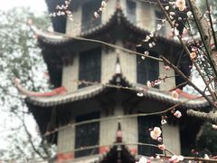 -成都杜甫草堂博物馆