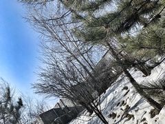 -鳌山滑雪度假区
