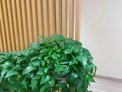 -智慧盲人按摩艾灸-颈肩腰膝疼痛调理(浦东店)