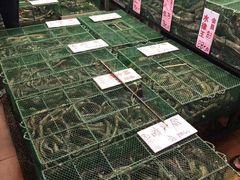 -荔城生鲜盛宴(番禺旗舰店)
