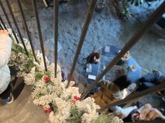 -J Create城市露营咖啡·简餐·宠物(上海动物园店)