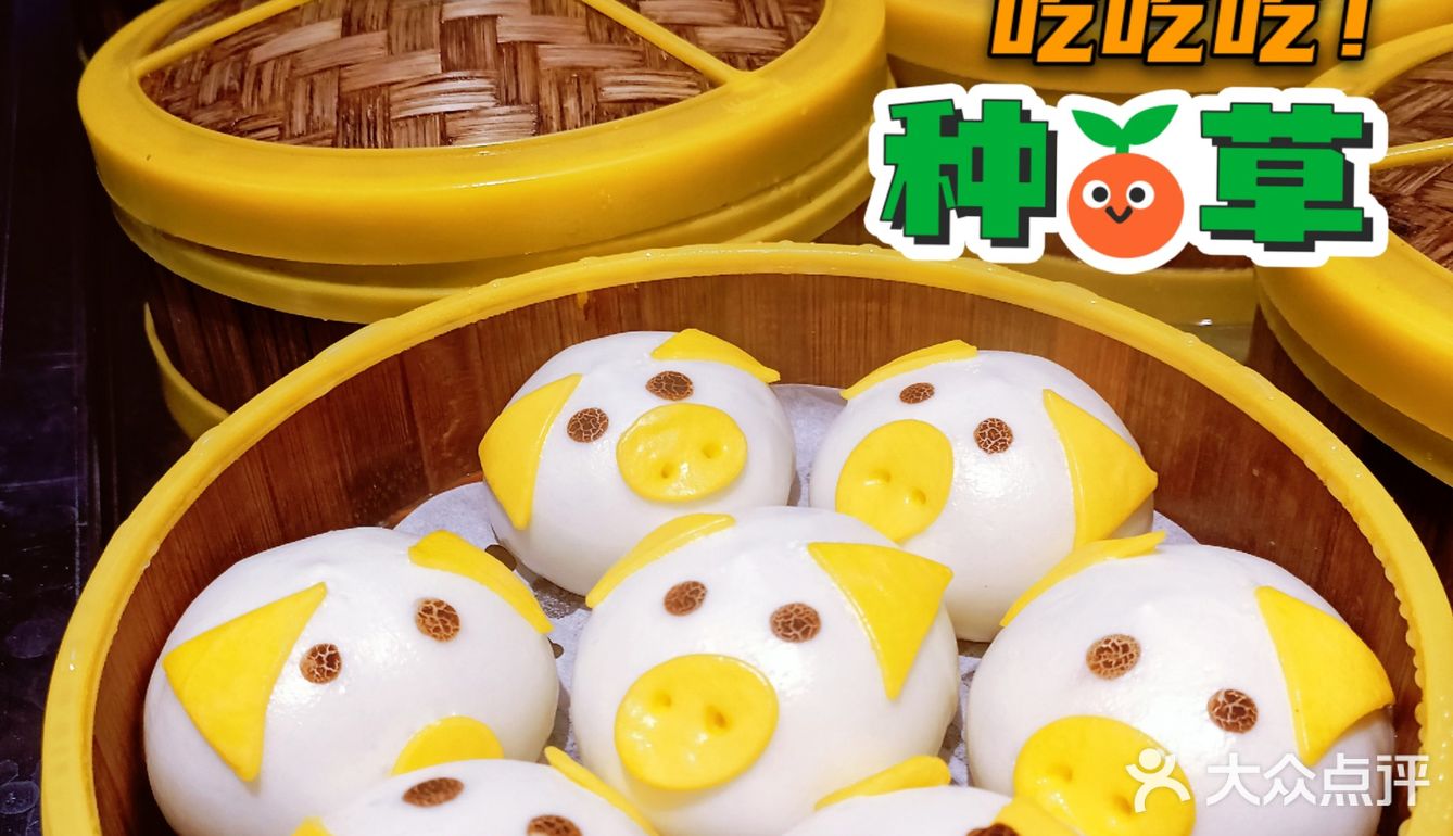 三人同行一人免单|[糖果]同价位生蚝天花板 新鲜饱满 产地空运