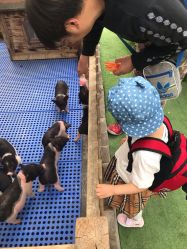 -萌宠亲子动物乐园(槐房万达店)