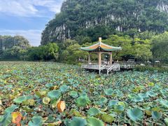 -星湖旅游景区七星岩