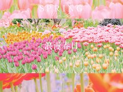 -深圳市中科院仙湖植物园