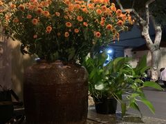 -Apollo·西班牙小酒馆(安福路店)