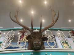 -阿拉丁新疆风味餐厅·清真(罗廊巷店)