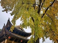 -上海东林寺(金山区)