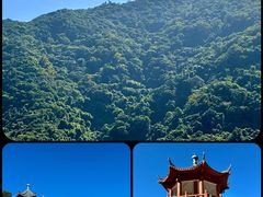 -梧桐山风景名胜区