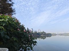 -洋湖国家湿地公园