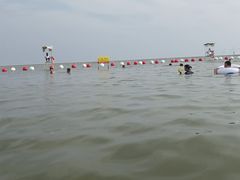 -碧海金沙