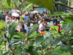 -韶山毛泽东同志故居