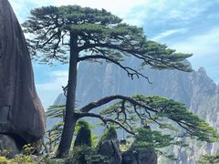 -黄山风景区