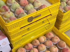 -老袁家蜜桃农场·阳山水蜜桃