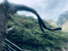 -十渡东湖港风景区