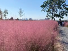 -汉长安城未央宫国家考古遗址公园