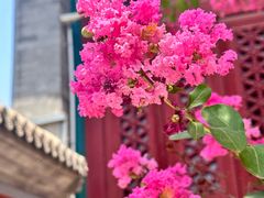 -天津大悲禅院