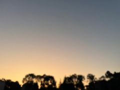 -蜀中吴养生板栗鸡(会展店)