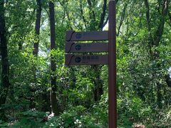 -苏州上方山国家森林公园