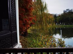 -映月湖公园