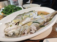 清蒸白丝鱼-观桥阁(锦溪店)