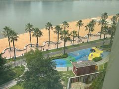 -金沙湖公园