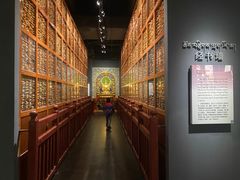-青海藏文化博物院