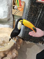 -Zoolung Zoolung动物主题公园(海信广场店)