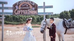 -1986婚纱摄影(清城店)