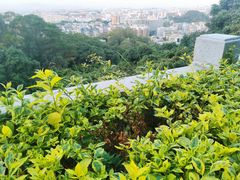 -仙岳公园