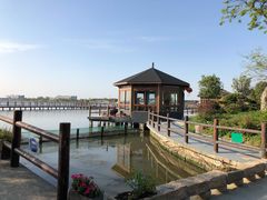-鹅湖玫瑰文化园