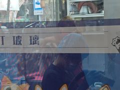 -芭比堂动物医院·心脏科·老年急重症·夜诊·吉雅分院