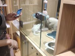 -屋虎猫馆(宝安大仟里店)