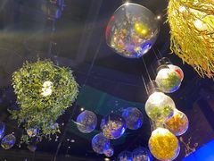 -胡桃里音乐酒馆(四道口店)