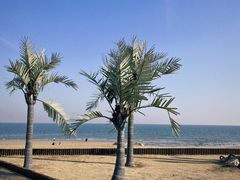 -巧克力渔家.小船海鲜家常菜(万平口店)